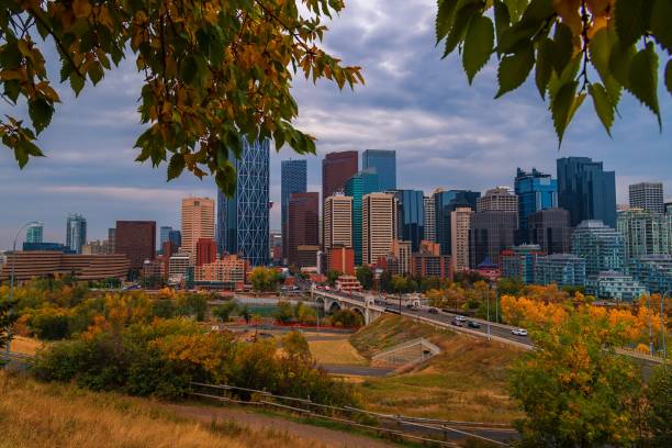 istock City Skyline Framed By Fall Leaves 1439863458