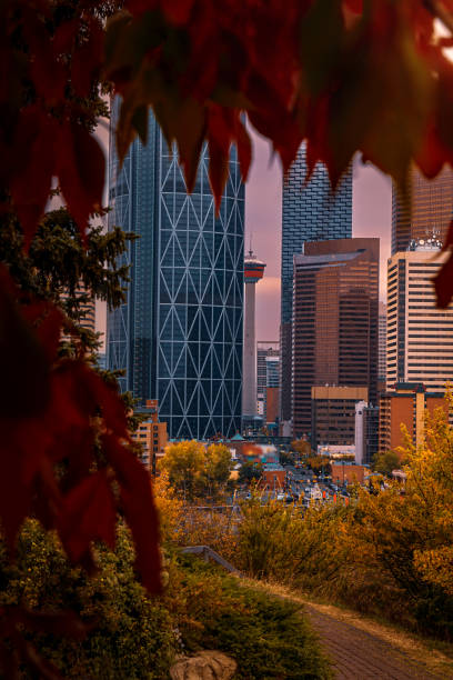 Downtown Calgary Framed By Fall Foliage At Sunrise