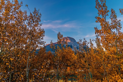 Fall foliage framing a Kananaskis mountain under a bright blue sky.