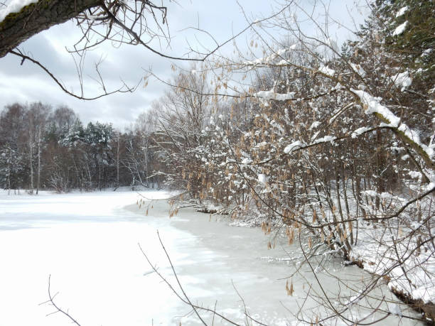 istock snow covered frozen pond in winter forest. 1439869135