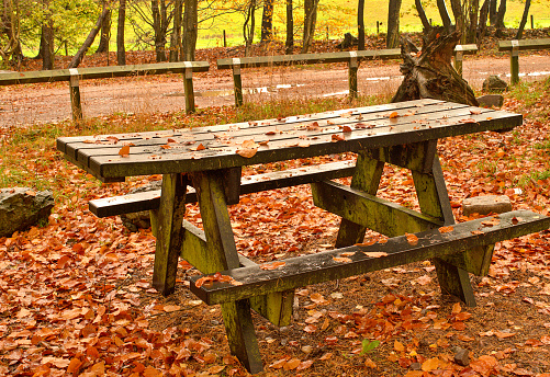 Picnic bench with no people wet with rain with autumn colours leaves lying around on the ground