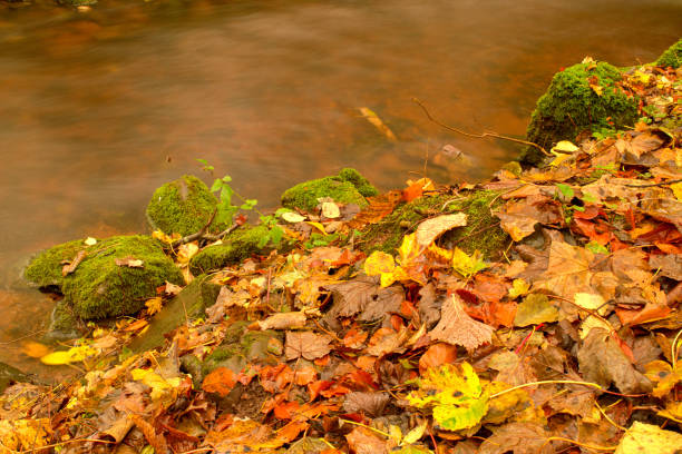 istock River water In autumn 1439874851