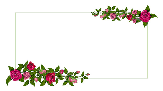 Red rose flower frame border isolated. Vector illustration