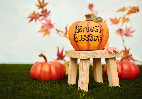 Fall setting with autumn leaves and HARVEST BLESSING pumpkin message