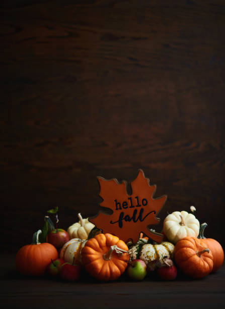 istock Rustic fall background with a collection of miniature pumpkins and HELLO FALL sign. Wood background with copy space 1439877365