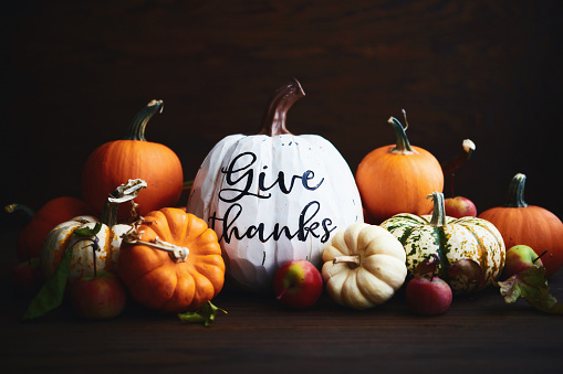 Thanksgiving arrangement with miniature pumpkins and a white pumpkin reading GIVE THANKS.