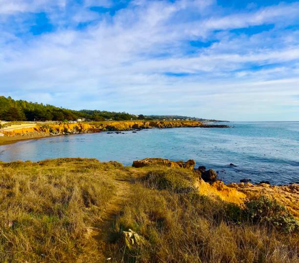 istock Central California Coastline 1439883859