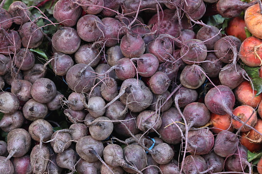 Turnips on display at a the Union Square Farmers Market in New York, New York, Wednesday, Nov. 2, 2022. (Photo: Gordon Donovan)