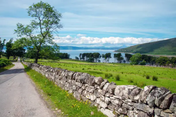 Beautiful summer weather,tranquil rural scene with bright sunshine,green grass,tree lined leafy trees,blue sky,calm Applecross bay in the background.