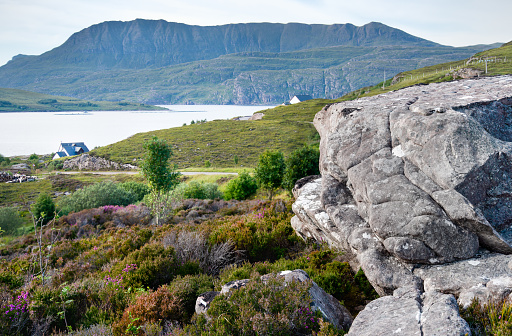 In beautiful,sunny summer weather,large boulder and rocks,surrounded by heather and colorful fauna in the foreground,white cottages next to the loch and distinctive mountains beyond.