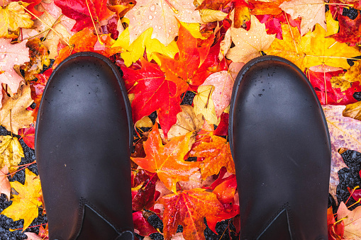 A pair of boots stand on top of fall leaves in the rain