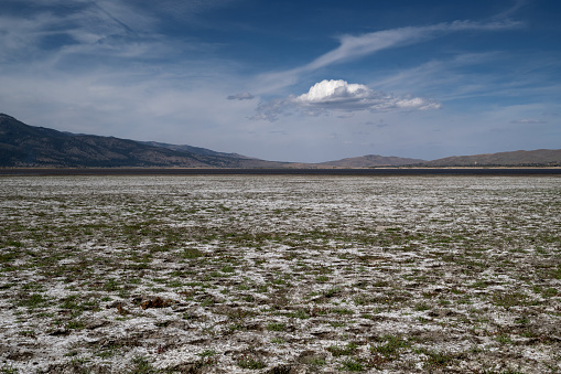 Washoe Lake State Park high desert landscape featuring a cloud in the distance on a blue sky day copy-space and green grass, Nevada, USA