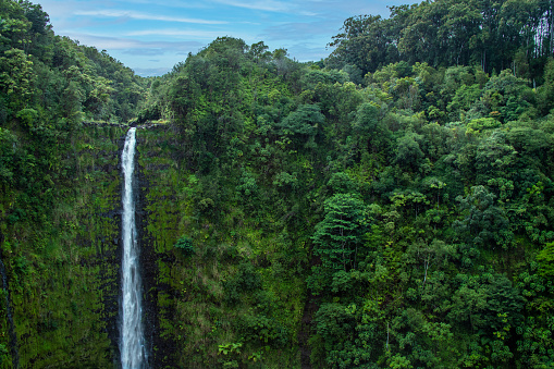 Waterfalls in Hawaii at Akaka Falls National Park.