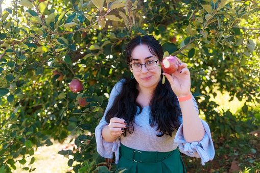 Woman Apple Picking - Apple Orchard