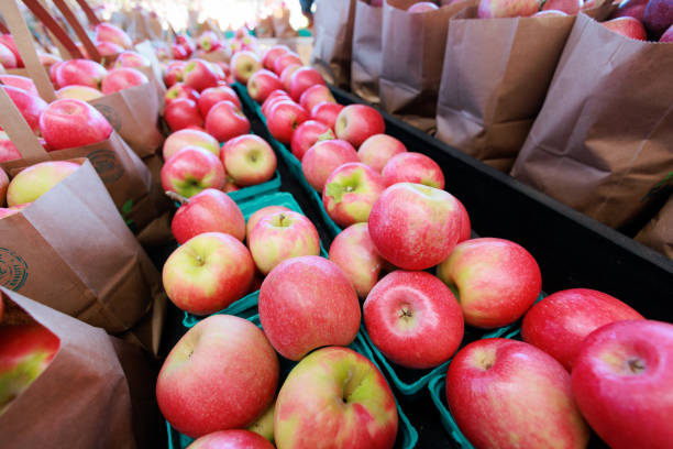 Red Apples for Sale - At an Apple Orchard