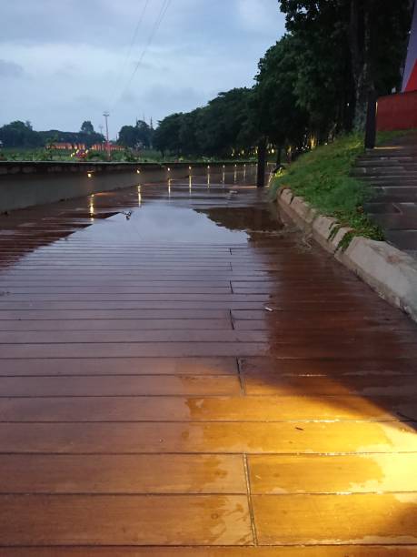 istock leaf at wooden wet footpath, foot path, after rain in the evening 1439894747