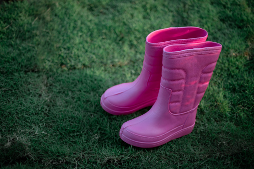 Pink rubber boots on a green lawn