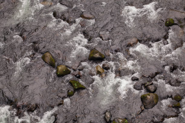 istock Looking down at river rapids washing over rocks 1439897693