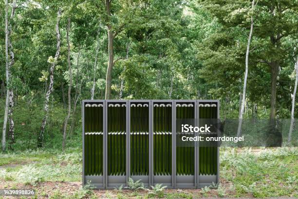 Tubular Algae Bioreactors Fixing Co2 To Produce Biofuel As An Alternative Fuel In Forest Stock Photo - Download Image Now
