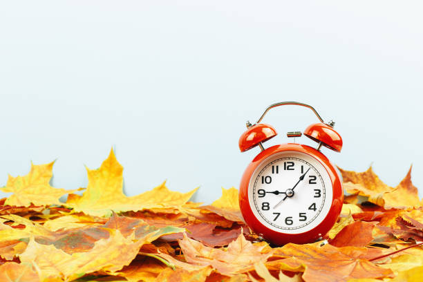istock Fall background. autumn leaves border. Alarm clock on blue 1439899928