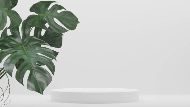 istock Monstera plants decoration and Empty podium Blank product shelf standing backdrop. 3D rendering. 1439904605