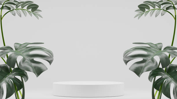 istock Monstera plants decoration and Empty podium Blank product shelf standing backdrop. 3D rendering. 1439904683