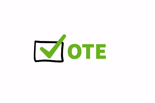 Vote word with checkmark symbol against white background.