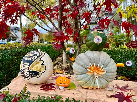 art carving of vegetables and fruits Carved different characters and faces on a pumpkin Halloween decorations for autumn harvest festivals Three-Eyed Monster with teeth and fangs