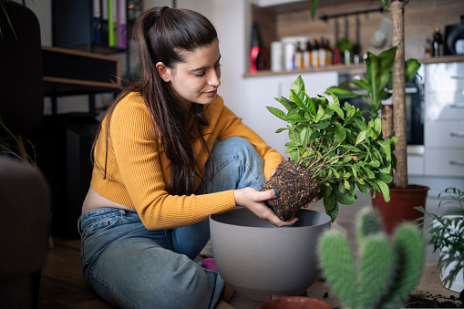 Young woman taking care of her plants at home. Smiling and enjoying her hobby.