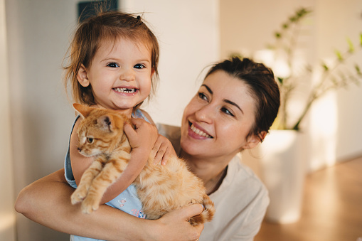 Happy family time playing with their cat in the living room on the floor at home. Happy family, childhood. Smile emotions. Parent, child. People lifestyle. Fun family.