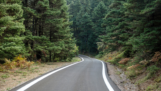 Empty asphalt road crossing fir forest. Dense spruce woods in Mountain Parnonas Peloponnese Greece