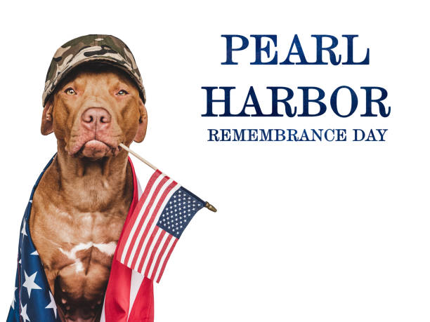 istock Pearl Harbor Remembrance Day. Puppy and American Flag 1439916004