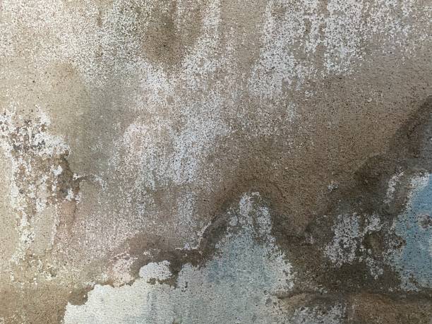 istock abstract background texture of old cement wall 1439918330