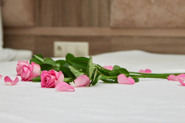 istock Beautiful pink roses are lying on a white bed 1439919090