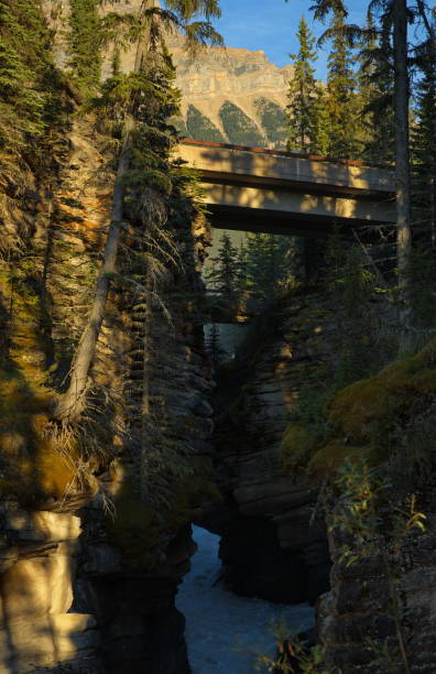 istock Rock formation at Athabasca Falls in Jasper National Park,Alberta,Canada,North America 1439924985