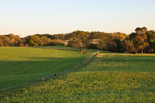 The beautiful scenery of Stroud Preserve before sunset in autumn, West Chester, Pennsylvania, USA