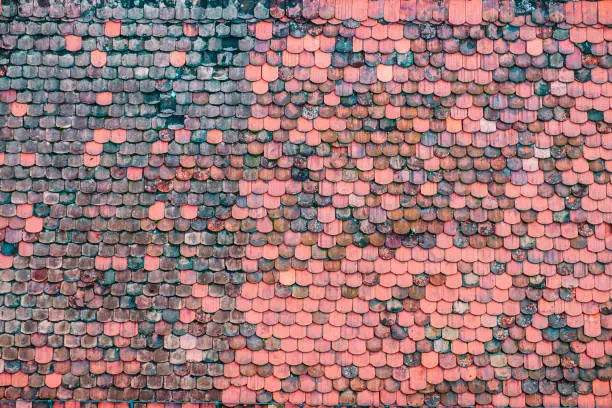 Terracotta tiles on roof top mainly in bad condition color changed to dark, full frame