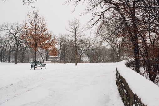 A beautiful shot of the park covered with snow on a cold winter day