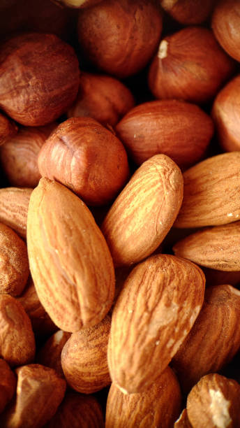 istock A mixture of hazelnuts and almonds in selective focus close-up 1439939215