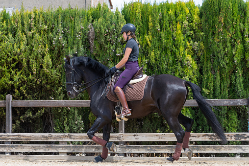 In an equestrian training center, a young jockey is in the sand arena training with a beautiful black thoroughbred horse, the equestrian center is outdoors.