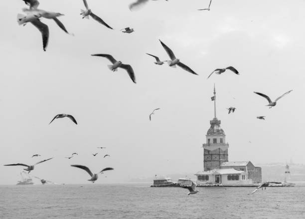 istock Snowy day in Uskudar, Istanbul. 1439939373