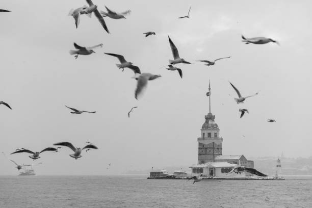istock Snowy day in Uskudar, Istanbul. 1439939407