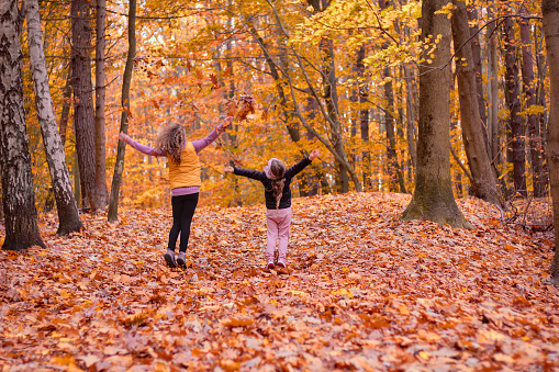 Full of joy and fun photo of children (girls) playing with leaves in an autumn forest. Shallow depth of field.