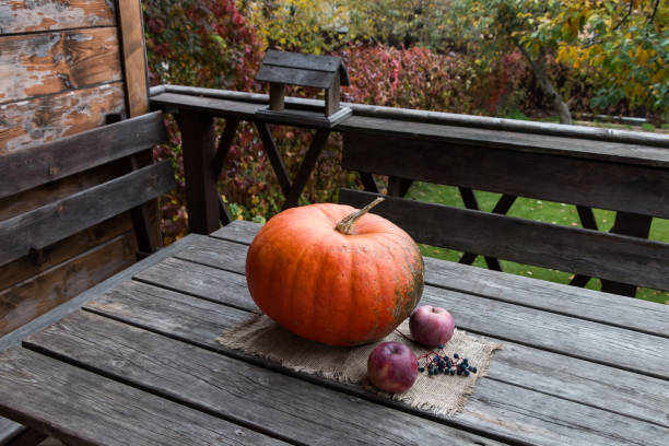 autumn composition, pumpkin, apples, grapes on a wooden table on the terrace
