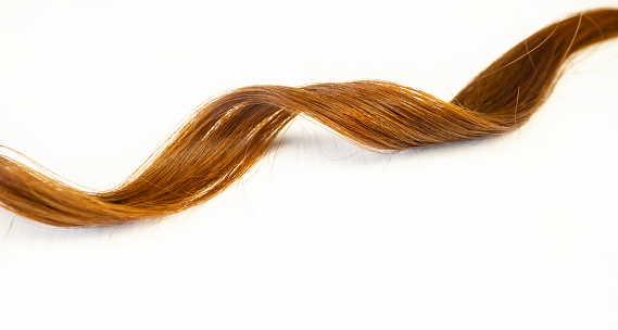 Strand of hair. Healthy female hair on a white background. Hair care concept.