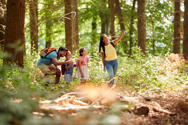family with backpacks hiking or walking through woodland countryside - fotvandra bildbanksfoton och bilder