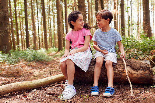 Smiling Boy And Girl Walking In Summer Woodland Sitting On Log Wearing Backpacks