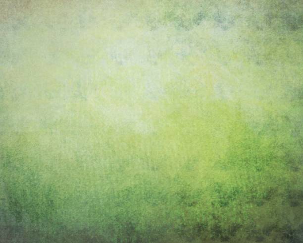 istock Grungy section of wall ideal for backgrounds 1439944713