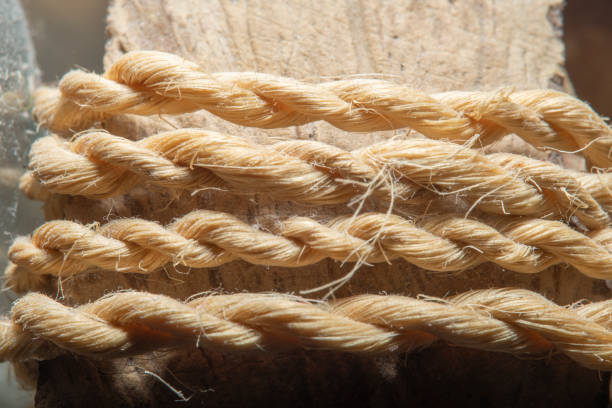 istock Close-up of a twisted decorative rope strung against a wall. 1439947751