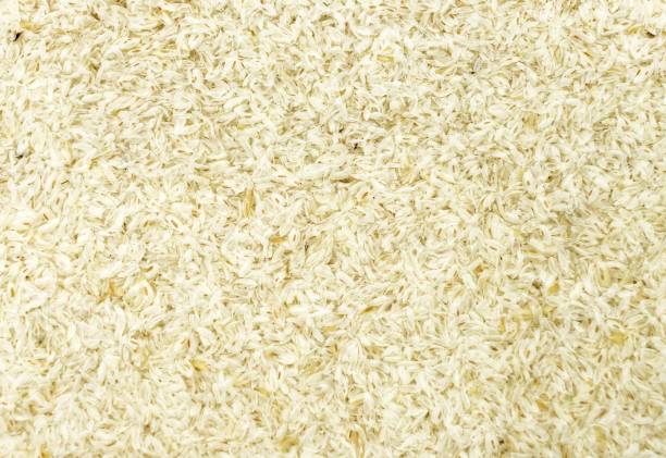 istock plantago ovata texture, blond psyllium, Psyllium Husk, supplement for intestinal transit, water soluble fiber 1439948336